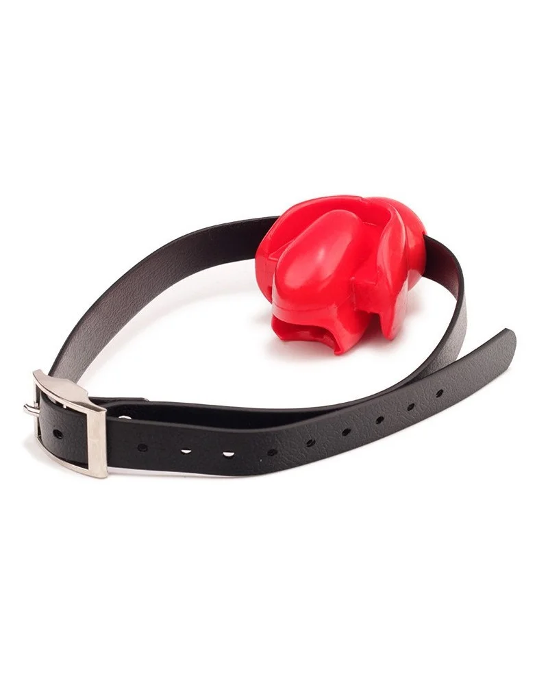 Bâillon Fix Tongue Rouge sextoys et accessoires sur La Boutique du Hard