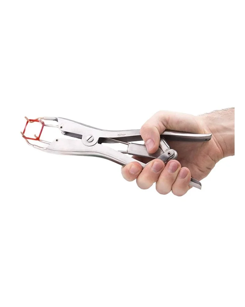 Pince pour Élastiques de Torture Elastratus sextoys et accessoires sur La Boutique du Hard