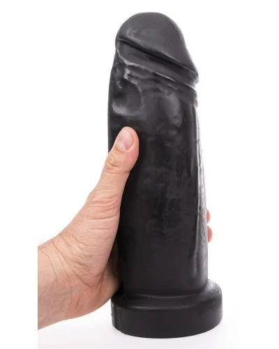 Gode Schlong Hung System 23 x 9cm sextoys et accessoires sur La Boutique du Hard