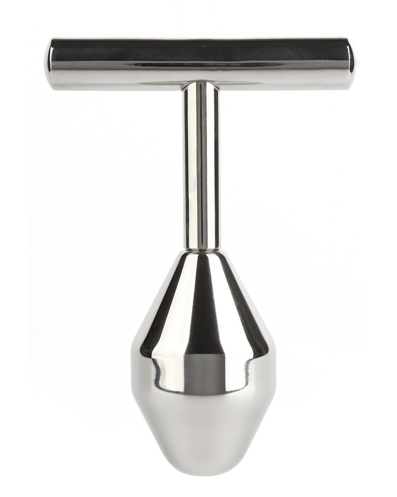 Plug Pleasure Probe 10.5 x 3.8cm sextoys et accessoires sur La Boutique du Hard