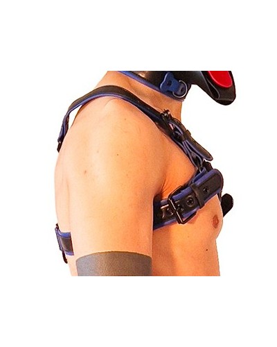 Harnais Puppy Harness Noir-Bleu sextoys et accessoires sur La Boutique du Hard