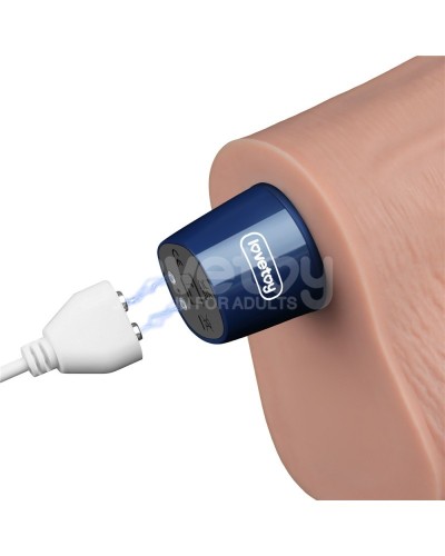 Gode Vibrant avec Bourses Softee 19 x 5.3cm Chair sextoys et accessoires sur La Boutique du Hard