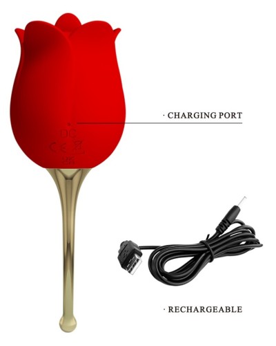 Stimulateur Anulingus Rose Lover sextoys et accessoires sur La Boutique du Hard