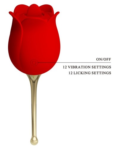 Stimulateur Anulingus Rose Lover sextoys et accessoires sur La Boutique du Hard