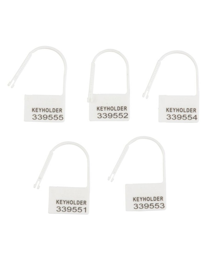 Lot de 5 Cadenas Lock Numérotés Blanc sextoys et accessoires sur La Boutique du Hard