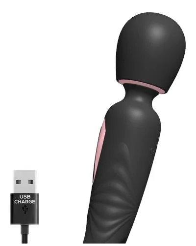 Wand avec Gode Lexy 2 11 x 3.2cm sextoys et accessoires sur La Boutique du Hard