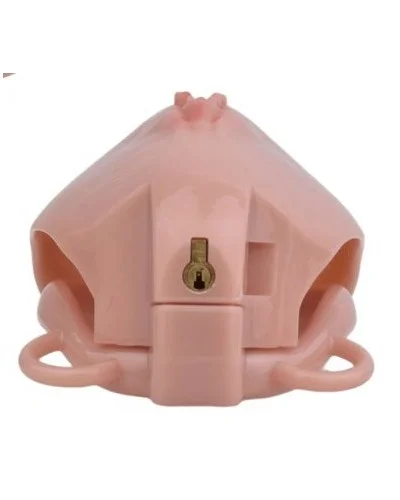 Cage de Chasteté avec Harnais Sislab 5.5 x 3.5cm Chair sextoys et accessoires sur La Boutique du Hard