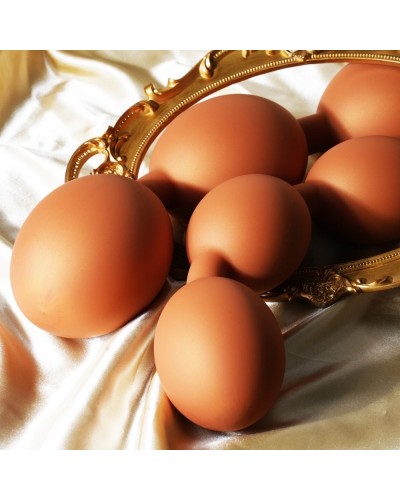 Boules Bolz S 46 x 3.7 cm Orange sextoys et accessoires sur La Boutique du Hard