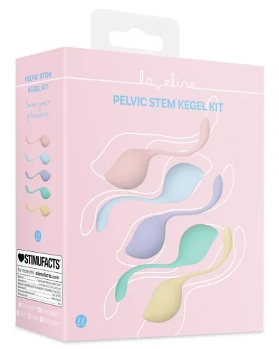 Kit de 5 Boules de Geisha Stemkit sextoys et accessoires sur La Boutique du Hard