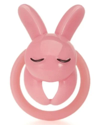 Cage Lapin 4.5 x 3 cm Rose sextoys et accessoires sur La Boutique du Hard