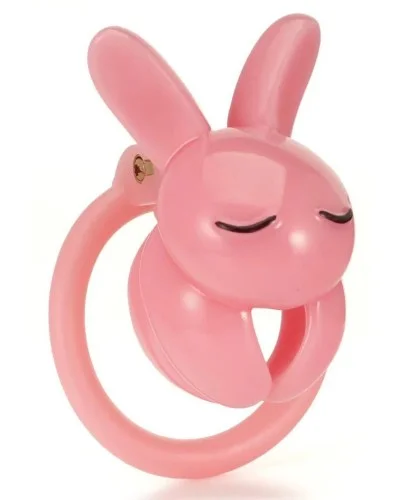 Cage Lapin 4.5 x 3 cm Rose sextoys et accessoires sur La Boutique du Hard