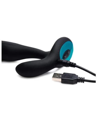 Stimulateur prostate Pro-Bend 10.5 x 2.8cm sextoys et accessoires sur La Boutique du Hard