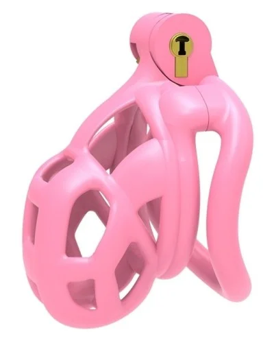 Cage Aspic M Rose 6.5 x 3.3cm sextoys et accessoires sur La Boutique du Hard