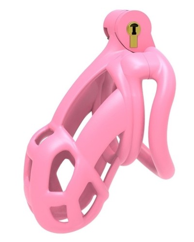 Cage Aspic L Rose 9.5 x 3.4cm sextoys et accessoires sur La Boutique du Hard