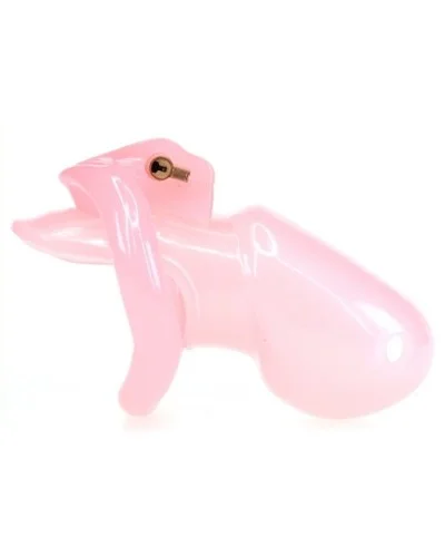 Cage de chasteté Lockea Rose sextoys et accessoires sur La Boutique du Hard