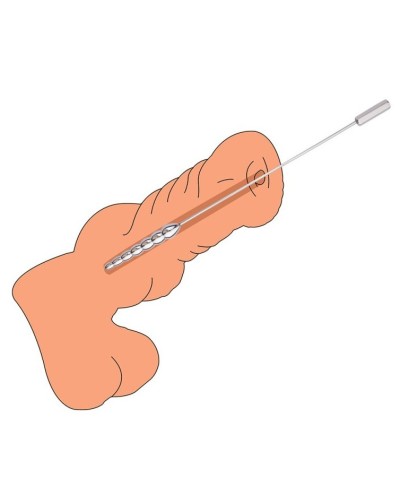 Tige en métal Lonkob L 23 cm - Diamètre 15mm sextoys et accessoires sur La Boutique du Hard