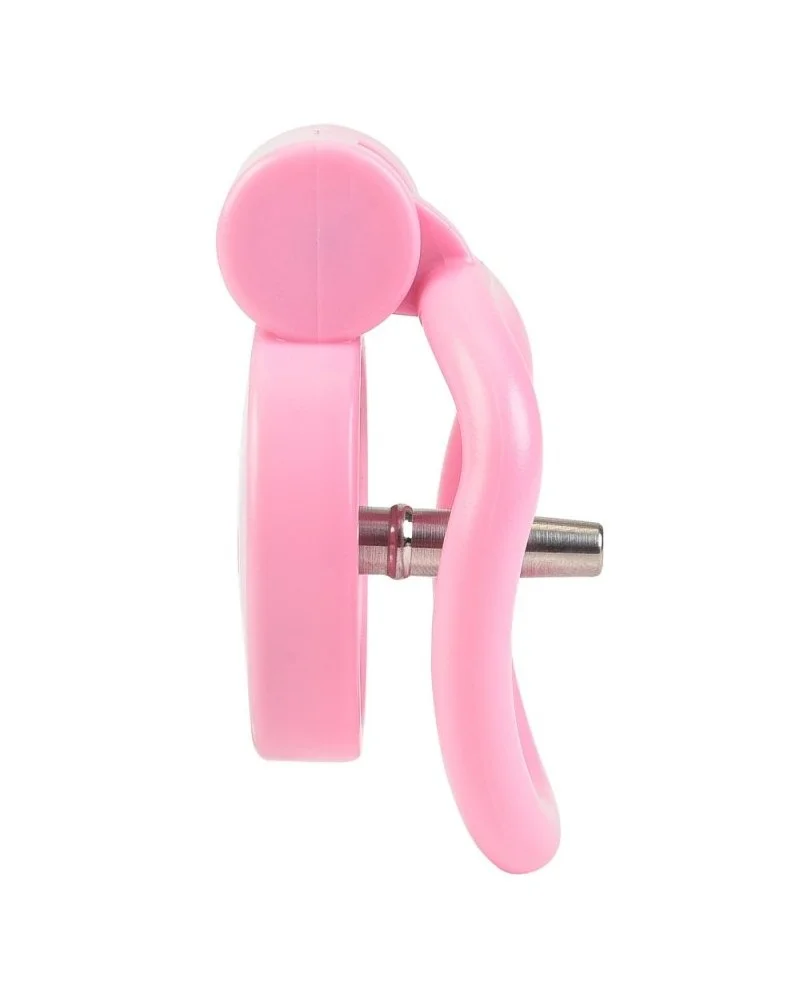 Cage avec plug Terhidy Rose 2.5 x 3.8 cm sextoys et accessoires sur La Boutique du Hard
