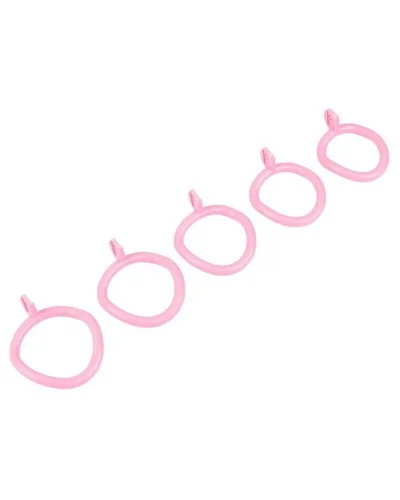 Cage avec plug Terhidy Rose 2.5 x 3.8 cm sextoys et accessoires sur La Boutique du Hard