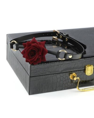 Coffret Bdsm avec Mallette 7 Pièces Blackbox sextoys et accessoires sur La Boutique du Hard