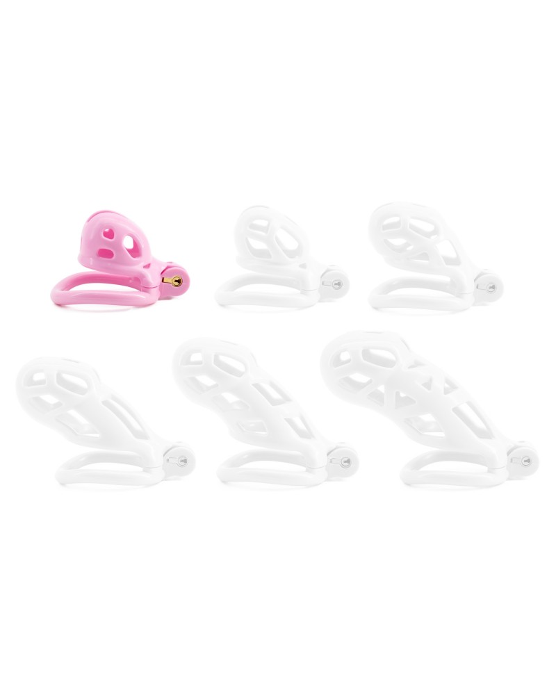 Cage Robat Rose S 4 x 3.3cm sextoys et accessoires sur La Boutique du Hard