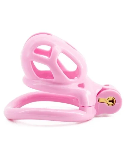 Cage Robat Rose M 5.5 x 3.3cm sextoys et accessoires sur La Boutique du Hard