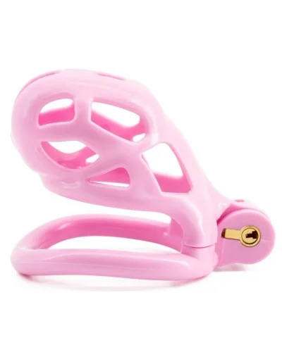 Cage Robat Rose L 6.5 x 3.7cm sextoys et accessoires sur La Boutique du Hard