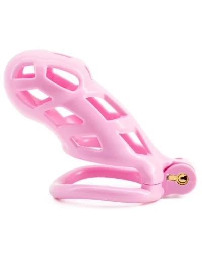 Cage Robat Rose XXL 10 x 3.7cm sextoys et accessoires sur La Boutique du Hard
