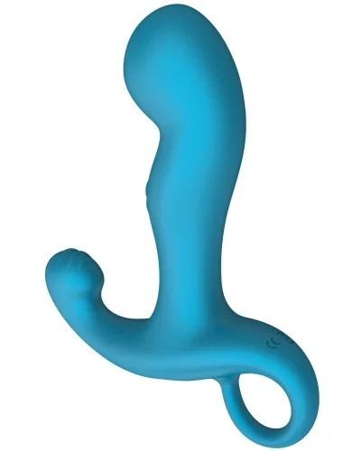 Stimulateur prostatique vibrant Bluespot 10 x 3.5cm sextoys et accessoires sur La Boutique du Hard