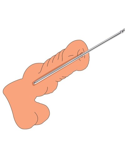 Tige Pronc L 24 cm - Diamètre 10mm sextoys et accessoires sur La Boutique du Hard