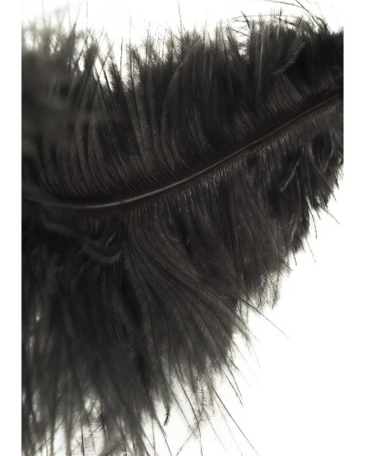 Plumeau Double Ticklers 66cm sextoys et accessoires sur La Boutique du Hard