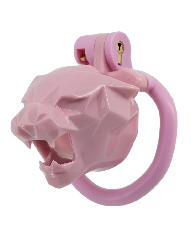 Cage Leox 4.5 x 3.5cm Rose sextoys et accessoires sur La Boutique du Hard