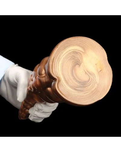 Plug Goldpoint S 15 x 5cm sextoys et accessoires sur La Boutique du Hard