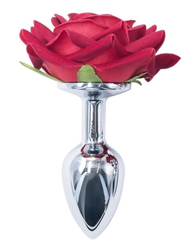 Plug Rosestain S 6 x 2.7cm sextoys et accessoires sur La Boutique du Hard