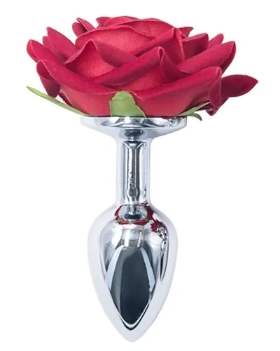 Plug Rosestain M 7 x 3.3cm sextoys et accessoires sur La Boutique du Hard
