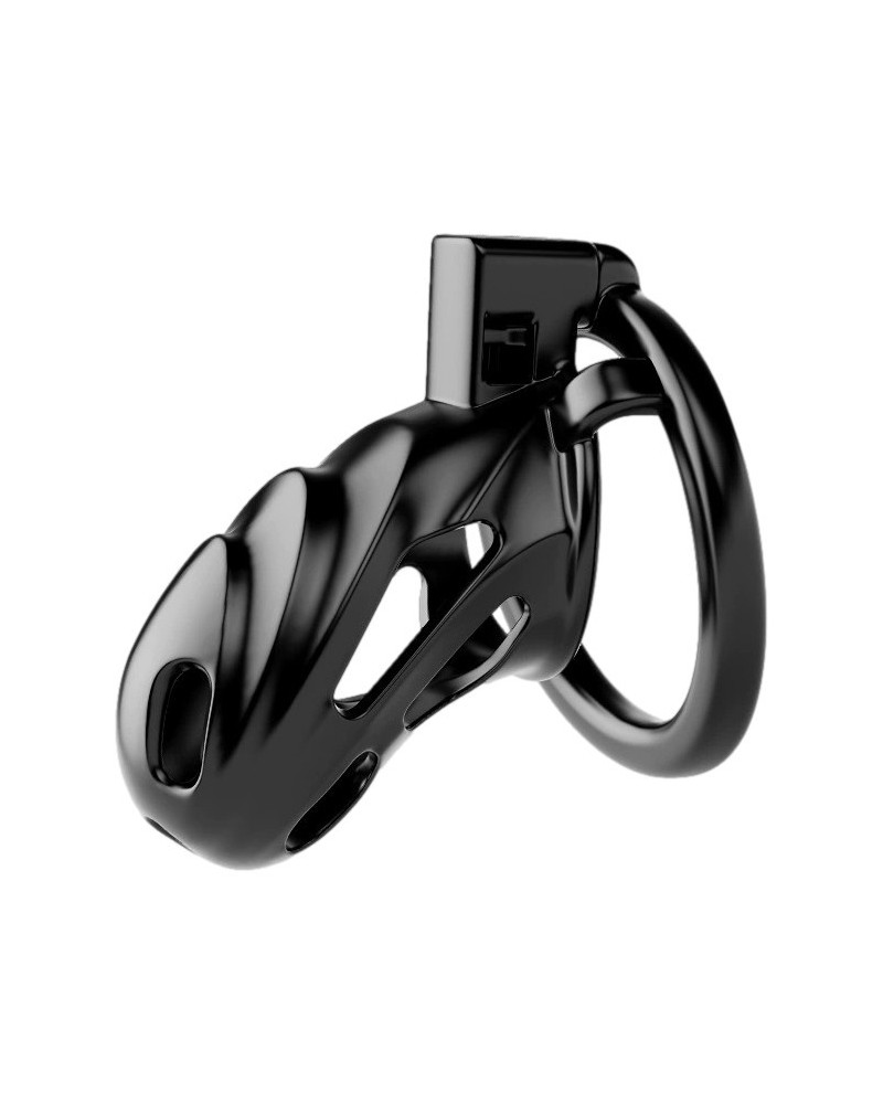 Cage Scallycock 10 x 3.5 cm Noire sextoys et accessoires sur La Boutique du Hard