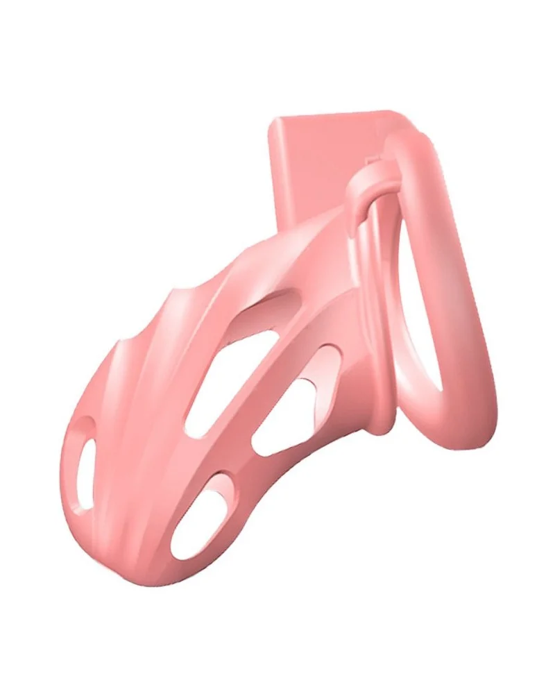 Cage Scallycock 10 x 3.5 cm Rose sextoys et accessoires sur La Boutique du Hard