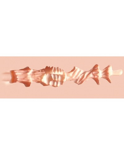 Masturbateur Lexi cockpit sextoys et accessoires sur La Boutique du Hard