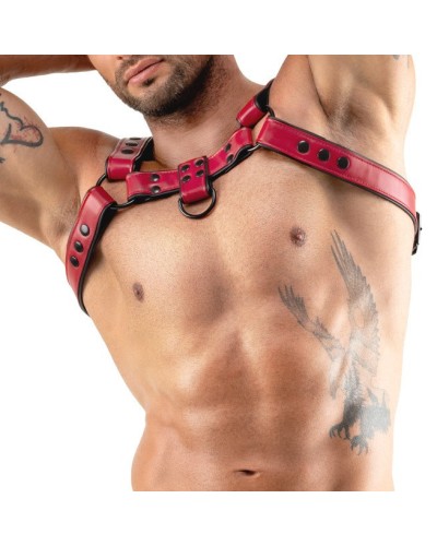Harnais Chestty Rouge