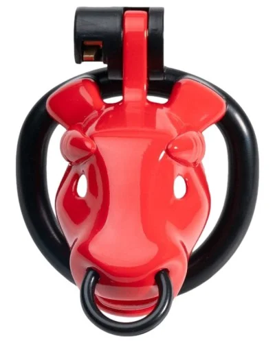 Cage Minodick 6 x 3 cm Rouge