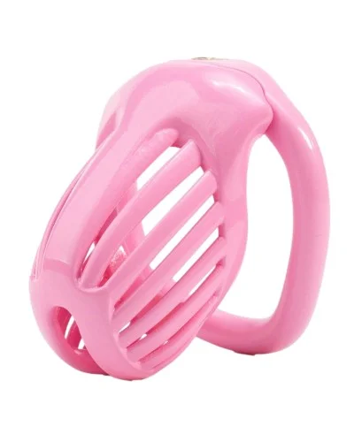Cage Lineath 6 x 3.2 cm Rose