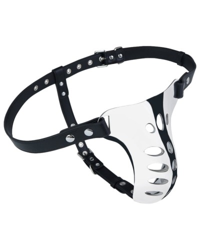 Ceinture de chasteté Block Dick 15 x 6cm