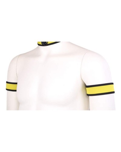 Brassards PUPPY NEoprene Jaune pas cher