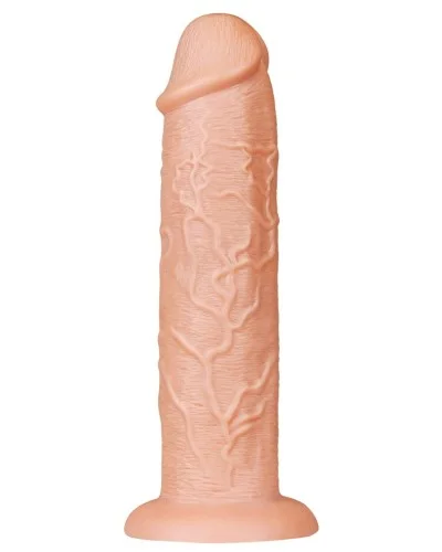 Gode Long Dildo 25 x 6 cm pas cher