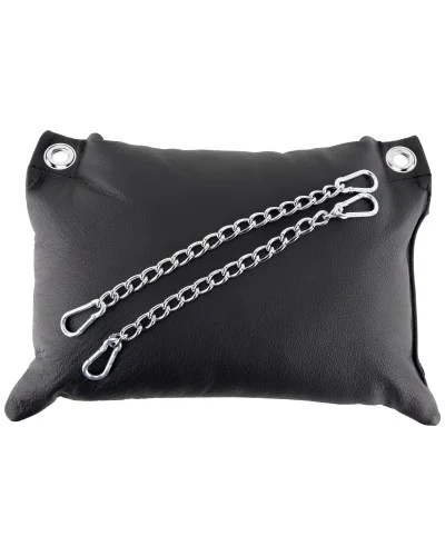 Coussin en cuir 23 x 32cm + Cha