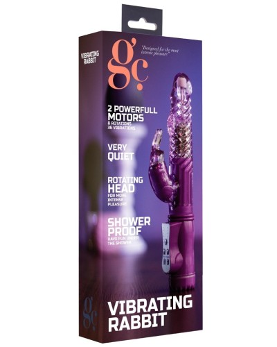 Vibro rabbit rotatif Vibe Coin 23cm Violet pas cher