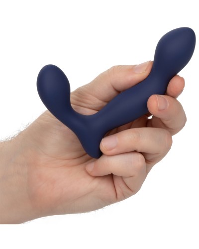 Stimulateur de prostate Expert Probe Viceroy 10 x 2.5cm pas cher