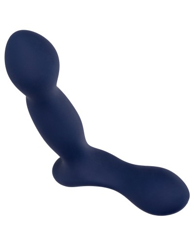 Stimulateur de prostate Expert Probe Viceroy 10 x 2.5cm pas cher