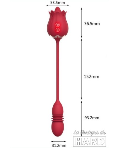 Stimulateur de clitoris et Point G Rose Egg 9 x 3cm pas cher