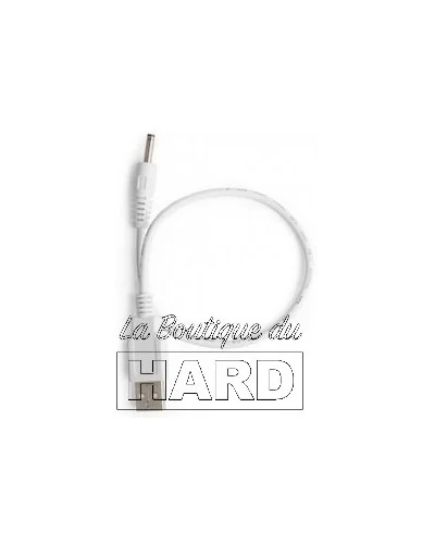 Câble Chargeur USB pour Sextoys Lelo pas cher - La Boutique du Hard