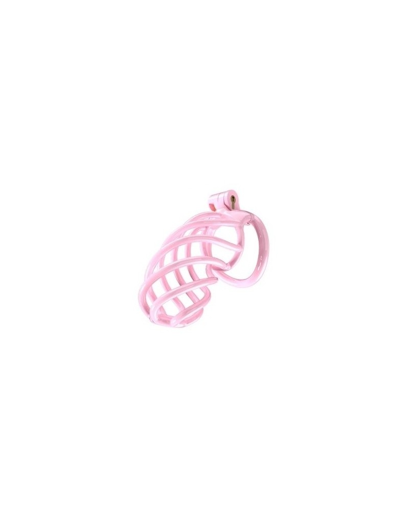 Cage de chasteté Tortille XL 11 x 3.4 cm Rose sur la Boutique du Hard